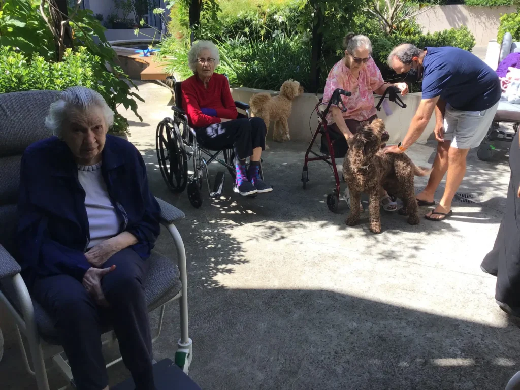 Therapy dog visits